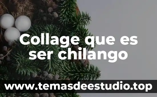 Qué es mejor para un país ser socialista o capitalista 5 Collage que es ser chilango