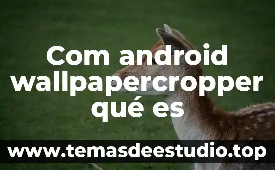 Stp kickstarter com que es 3 Com android wallpapercropper qué es