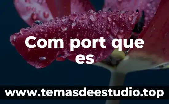 Steamgames com que es 6 Com port que es