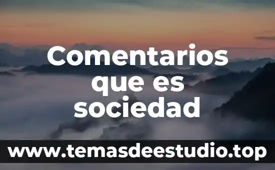Que es la funcionalidad en la sociedad 8 Comentarios que es sociedad