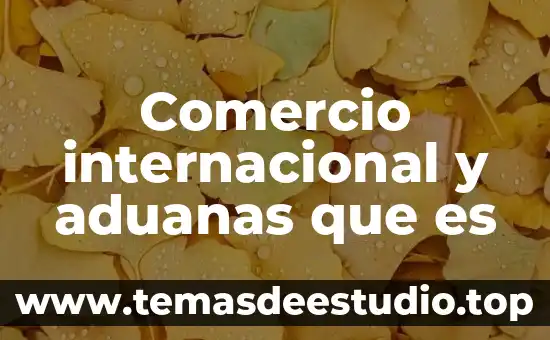 Que es plano carteciono 8 Comercio internacional y aduanas que es