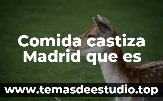 Que es charipo comida mexicana 3 Comida castiza Madrid que es