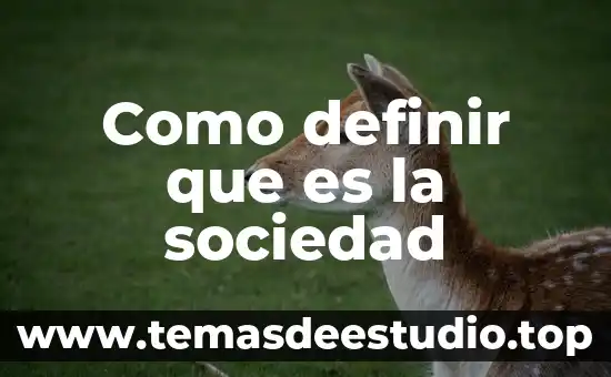Como definir que es la sociedad