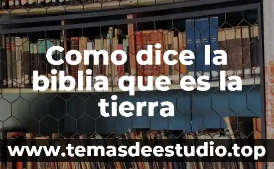 Como dice la biblia que es la tierra
