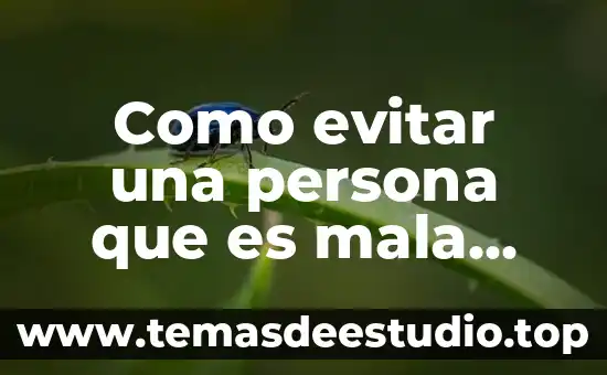 Por que es importante evitar freir 7 Como evitar una persona que es mala influencia