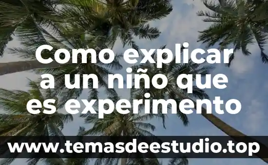 Que es la multiplicacion definicion para niño 6 Como explicar a un niño que es experimento
