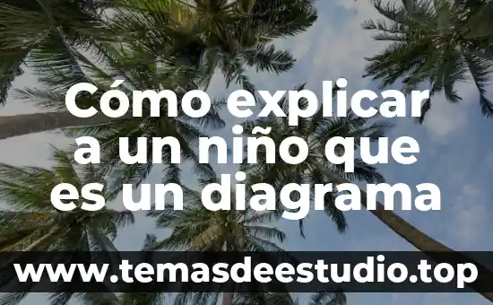 Como explicar a niños de preescolar que es el arte 8 Cómo explicar a un niño que es un diagrama