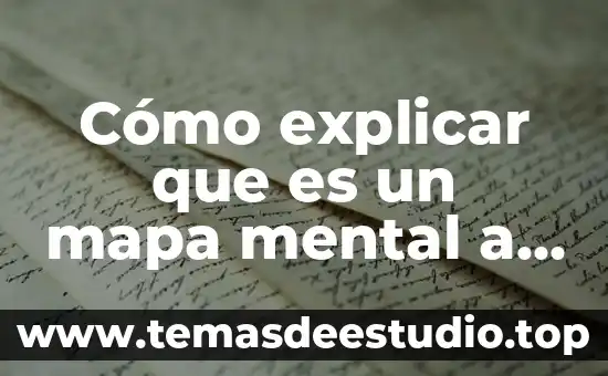 Como explicar a niños de preescolar que es el arte 7 Cómo explicar que es un mapa mental a los niños