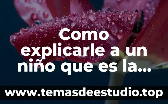 Que es la longitud ejemplos en mapas 3 Como explicarle a un niño que es la longitud