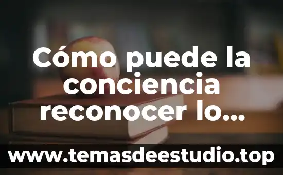 Que es conciencia y tipos 8 Cómo puede la conciencia reconocer lo que es bueno