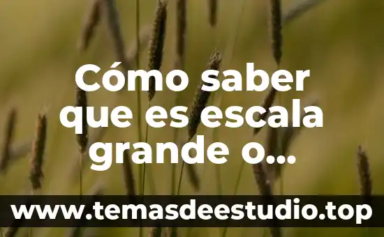 Que es mas grande sol o tierra 3 Cómo saber que es escala grande o pequeña geografía