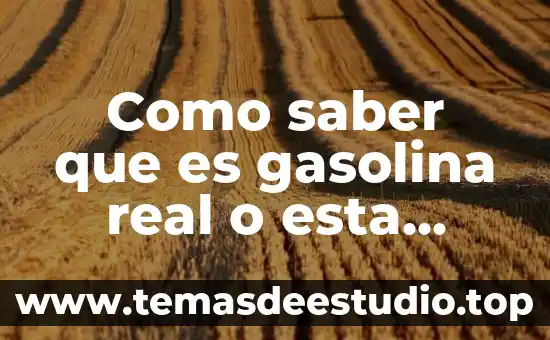 ¿Qué es mejor motor a gasolina o diesel? 5 Como saber que es gasolina real o esta adulterada