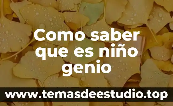 Que es lo que seberia saber un electromecanico 5 Como saber que es niño genio