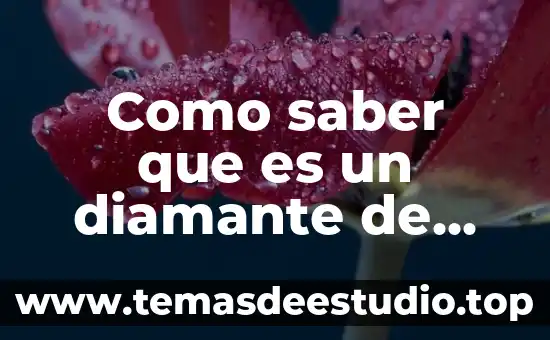 Que es saber 3 Como saber que es un diamante de verdad