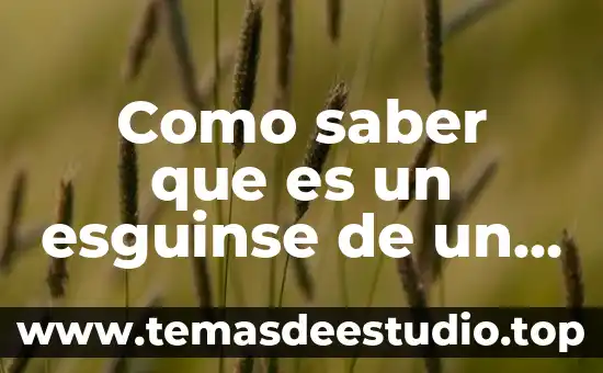 Que es lo que seberia saber un electromecanico 8 Como saber que es un esguinse de un tobilo