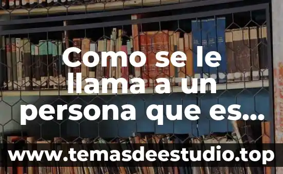 Como se le llama a una persona que es primeriza 6 Como se le llama a un persona que es despegada