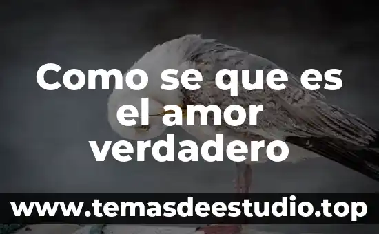 Metodo que es el camino que conduce al verdadero conocimiento 8 Como se que es el amor verdadero