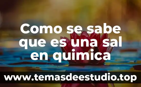Personaje que es espía rusa y sabe artes marciales 6 Como se sabe que es una sal en quimica