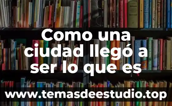 Que es una ciudad global ejemplos 3 Como una ciudad llegó a ser lo que es