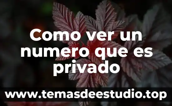 Que es el número de matricula unam 7 Como ver un numero que es privado