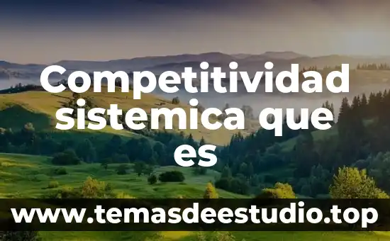 Que es significa interacción sistémica 3 Competitividad sistemica que es