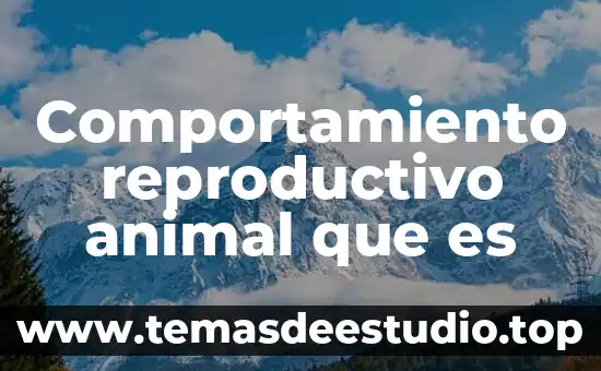 Que es el objeto material psilogismo 7 Comportamiento reproductivo animal que es