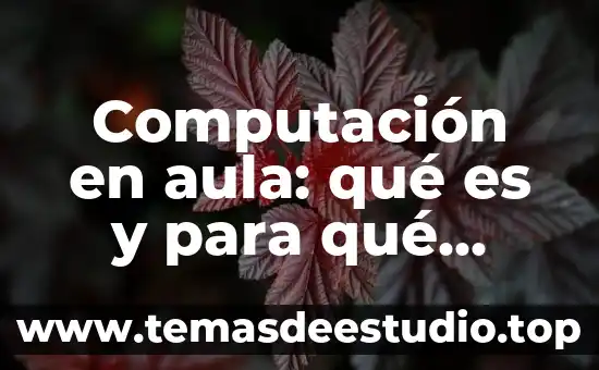 Sabes que es verdad 3 Computación en aula: qué es y para qué sirve