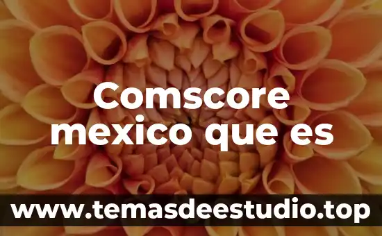Crees que es un monumento la catedral de México 3 Comscore mexico que es
