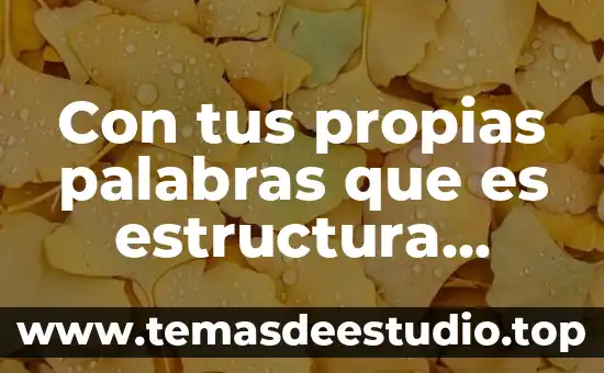 Que es procrastinar con nuestras propias palabras 4 Con tus propias palabras que es estructura económica