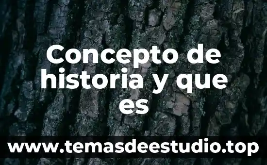 Concepto de historia y que es