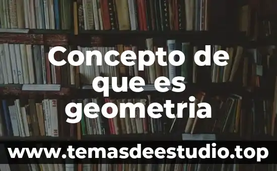 Número económico educativo que es 7 Concepto de que es geometria