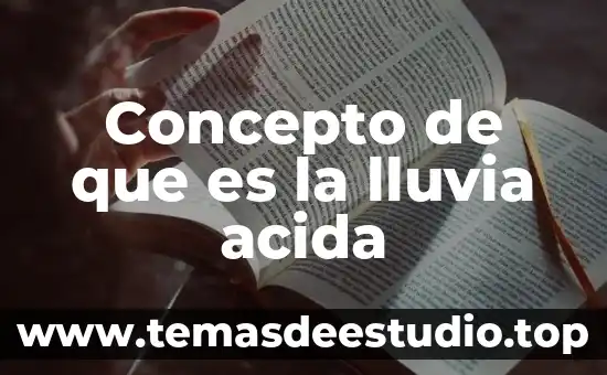 Que es la prueba acida de una empresa 6 Concepto de que es la lluvia acida