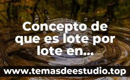 Lote económico de producción que es 8 Concepto de que es lote por lote en inventarios