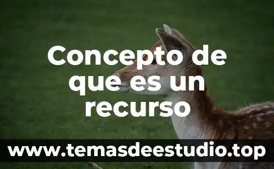 Que es un recurso en el derecho civil moderno 8 Concepto de que es un recurso