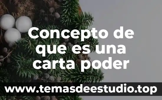 Qué es el ente del poder ejecutivo en México 4 Concepto de que es una carta poder