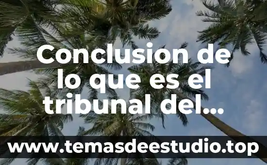 Conclusion de lo que es el tribunal del contencioso administrativo