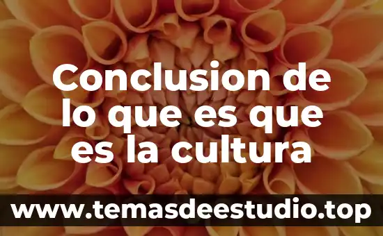 Conclusion de lo que es que es la cultura