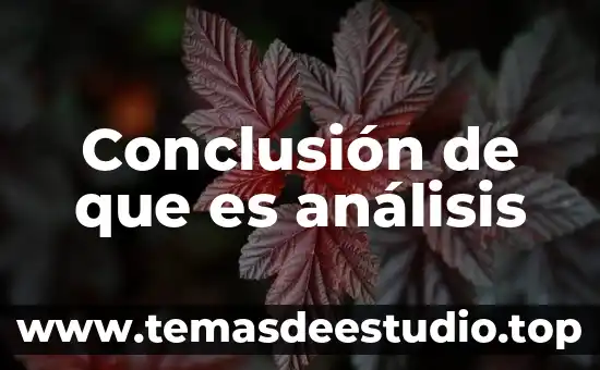 Que es el analisis del codigo de etica 5 Conclusión de que es análisis