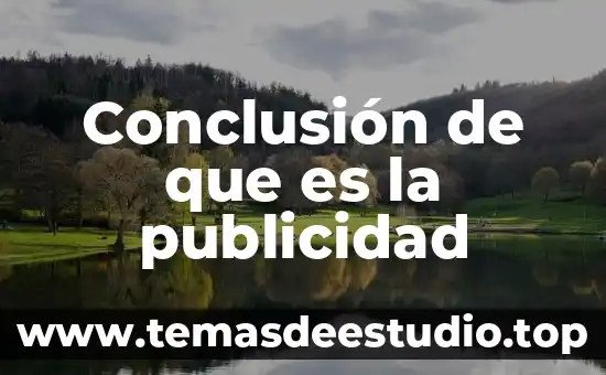 Mallado de elementos finitos que es 7 Conclusión de que es la publicidad