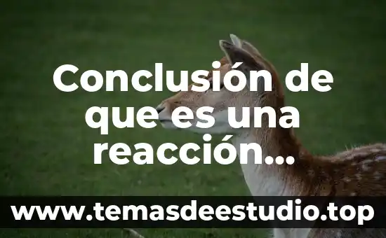Que es una reaccion reversible yahoo 7 Conclusión de que es una reacción química