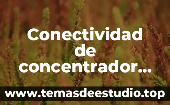 Qué es una artesanía y sus características 7 Conectividad de concentrador que es y caracteristicas