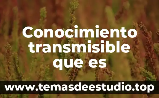Que es la internacionalización en la difusión de conocimiento científico 6 Conocimiento transmisible que es