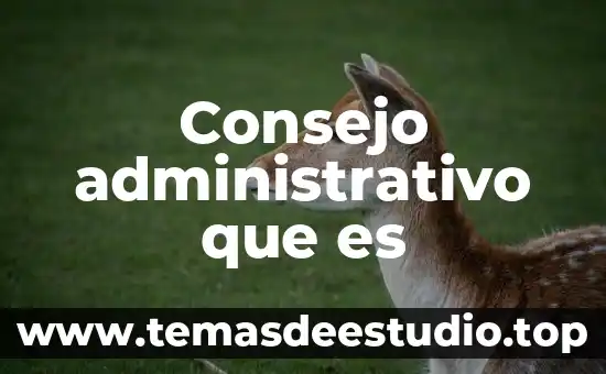 Que es una escuela de pensamiento administrativo 5 Consejo administrativo que es