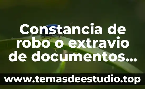 Que es desglose de documentos 3 Constancia de robo o extravio de documentos que es