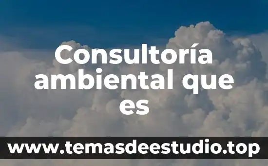 Consultoría ambiental que es