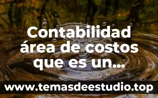 Qué es el flujo de costos en gastronomía 3 Contabilidad área de costos que es un gasto