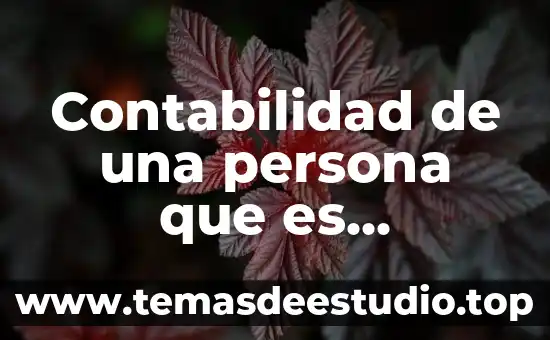 Contabilidad de una persona que es extranjero