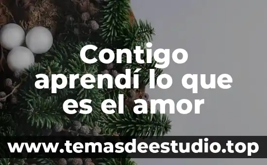 Amor icono que es 4 Contigo aprendí lo que es el amor