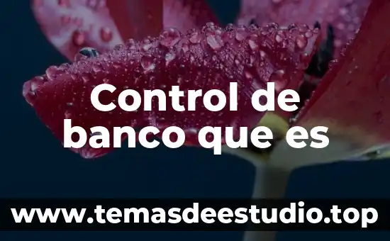 Qué es el banco de alimentos y cómo funciona 5 Control de banco que es