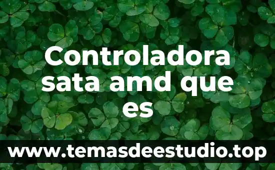 Controladora sata amd que es